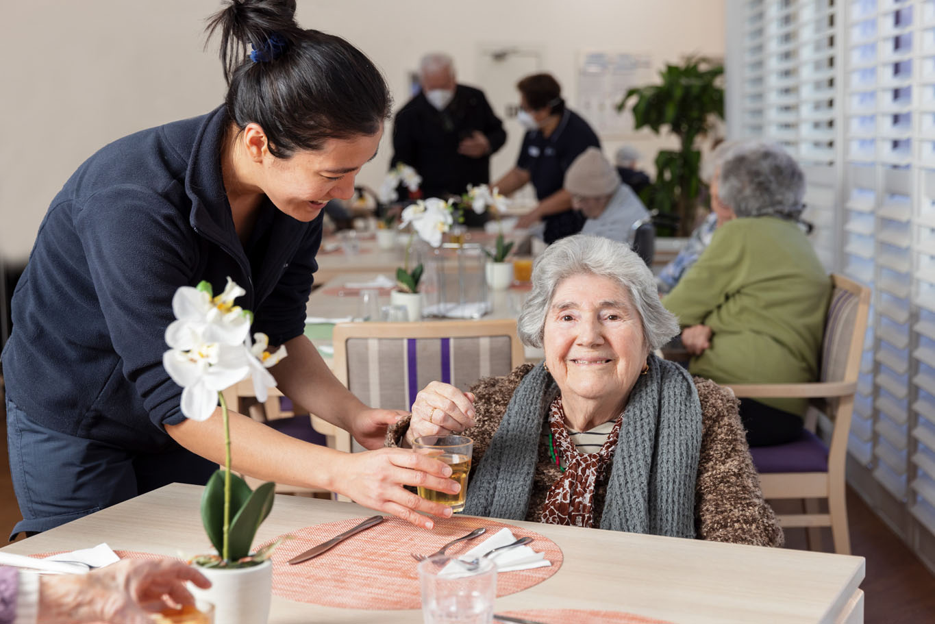 a st vincent's staff member serving an aged care resident at a dining table